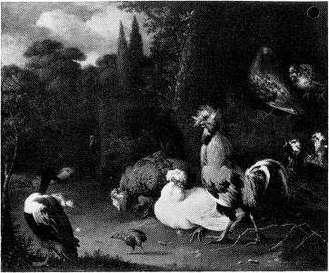 Poultry and Ducks in a Park by a follower of Melchior d'Hondecoeter Rijksdienst voor het Cultureel Erfgoed B1299. Free illustration for personal and commercial use.