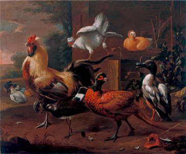 Poultry-yard, by Melchior d'Hondecoeter. Free illustration for personal and commercial use.
