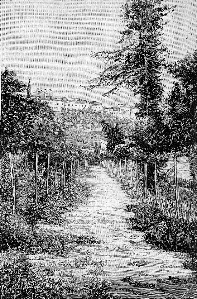 Potenza – Viale della Villa Comunale (xilografia)