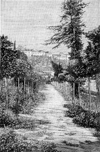Potenza – Viale della Villa Comunale (xilografia)
