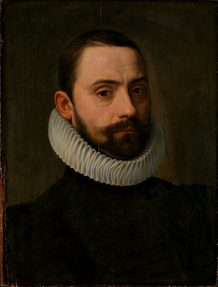 Frans Pourbus (I) - Portrait of a man of rank