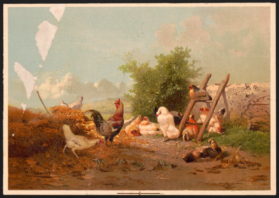 Poultry life, B - after E. Lemmens. LCCN2016651886
