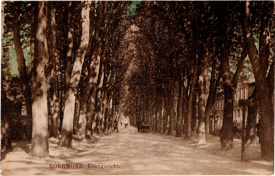Postcard Roermond, Laangezicht recto