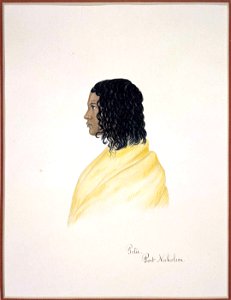 Potie. Port Nicholson. Mistress of W. H. Wright, merchant of Nelson, watercolour & gum arabic by Isaac Coates