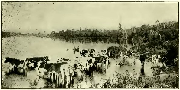Potvin - Le tour du Saguenay, historique, légendaire et descriptif, 1920 (page 50 crop)