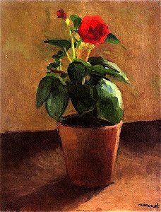 Pot of Flowers Albert Marquet (1900)