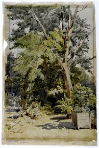 Pradelles Hippolyte - Dans mon jardin