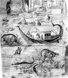 Praeneste - Nile Mosaic - Section 12 and 18