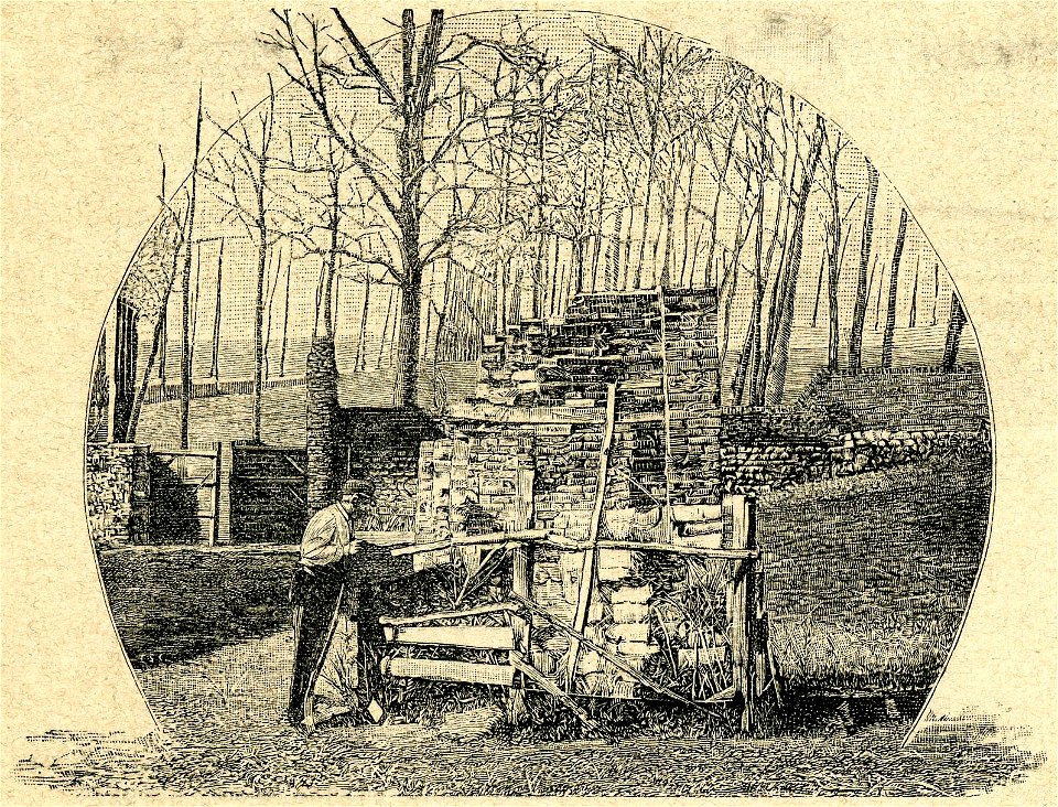 Pozzo d’Hauguemont