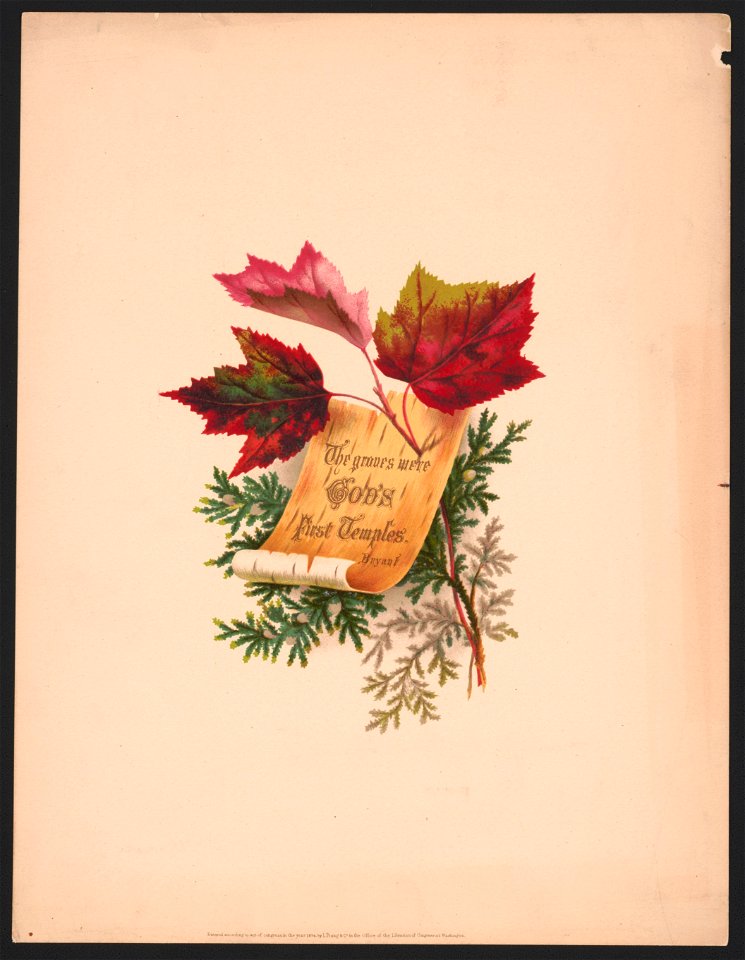 Prang's floral mottoes, no. 27. The groves were God's first temples - after Mrs. O.E. Whitney. LCCN2017650340