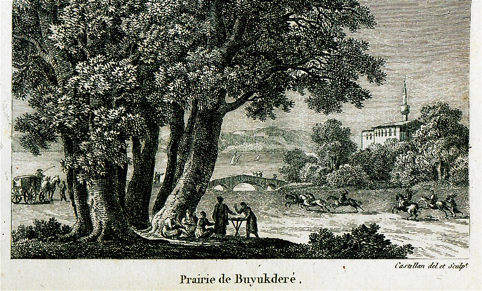 Prairie de Buyukdere - Castellan Antoine-laurent - 1811