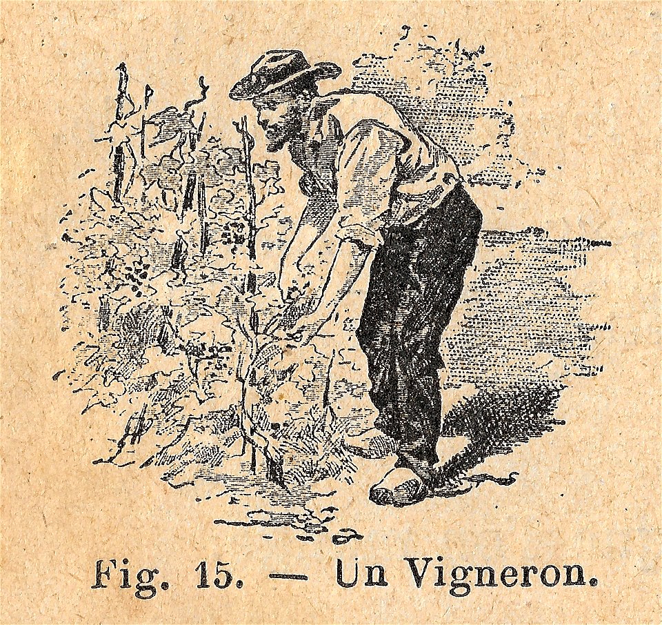Premières Leçons de choses usuelles - fig15