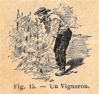 Premières Leçons de choses usuelles - fig15