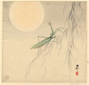 Praying Mantis and Full Moon by Koson