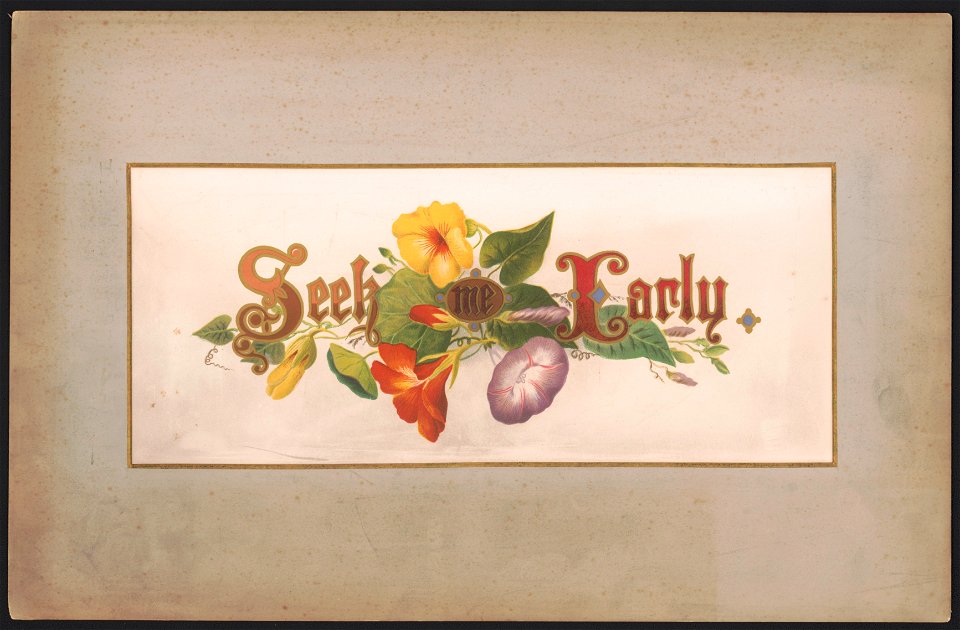 Prang's floral mottoes, no. 9. Seek me early LCCN2017650333