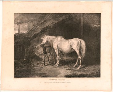 Primrose and foal LCCN2003678023