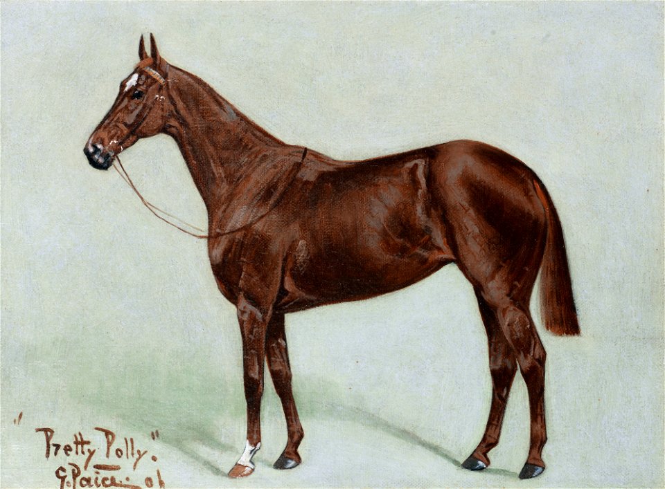 Pretty Polly, by George Paice