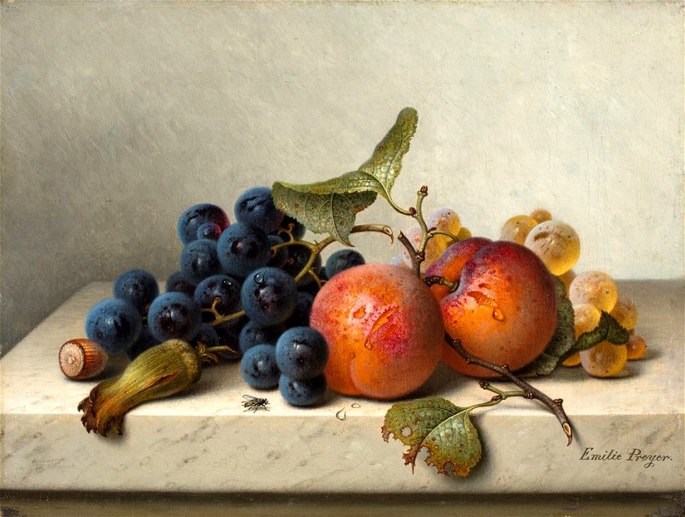Emilie Preyer - Früchtestilleben mit blauen und weißen Weintrauben, zwei Aprikosen am Zweig und zwei Haselnüssen