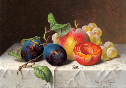 Preyer, Emilie - Still Life of Fruit. Free illustration for personal and commercial use.