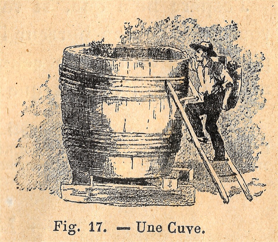 Premières Leçons de choses usuelles - fig17