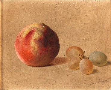 Emilie Preyer - A Peach and Grapes. Free illustration for personal and commercial use.