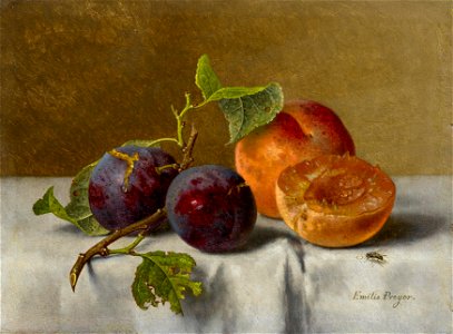 Emilie Preyer - Stillleben mit Pflaumen und Aprikosen