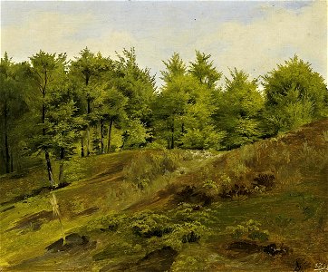 Johann Wilhelm Preyer - Waldlandschaft