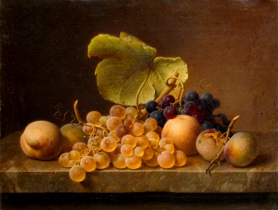 Johann Wilhelm Preyer - Stillleben mit Trauben (1849)