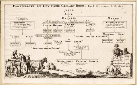 Priesterlyke en Levitische geslagt-boom, objectnr A 19816