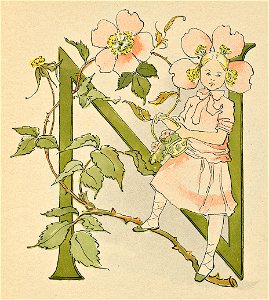Prinsarnes blomsteralfabet N