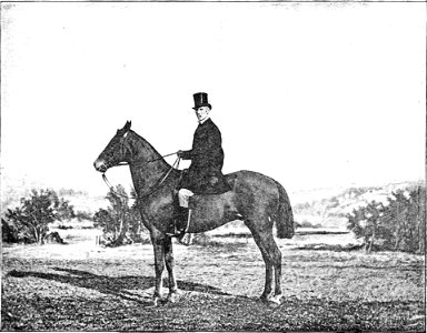 Principesdedressage 011