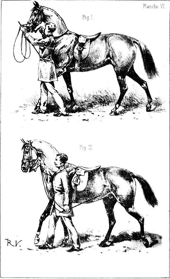 Principesdedressage 111