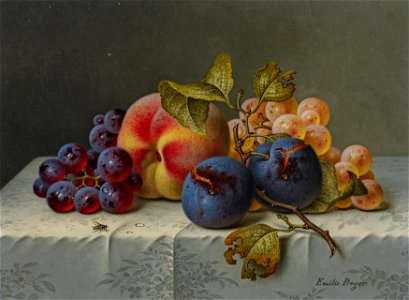 Emilie Preyer - Früchtestillleben