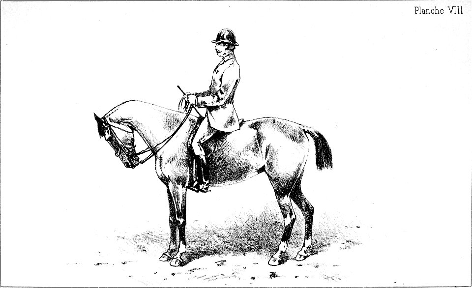 Principesdedressage 119