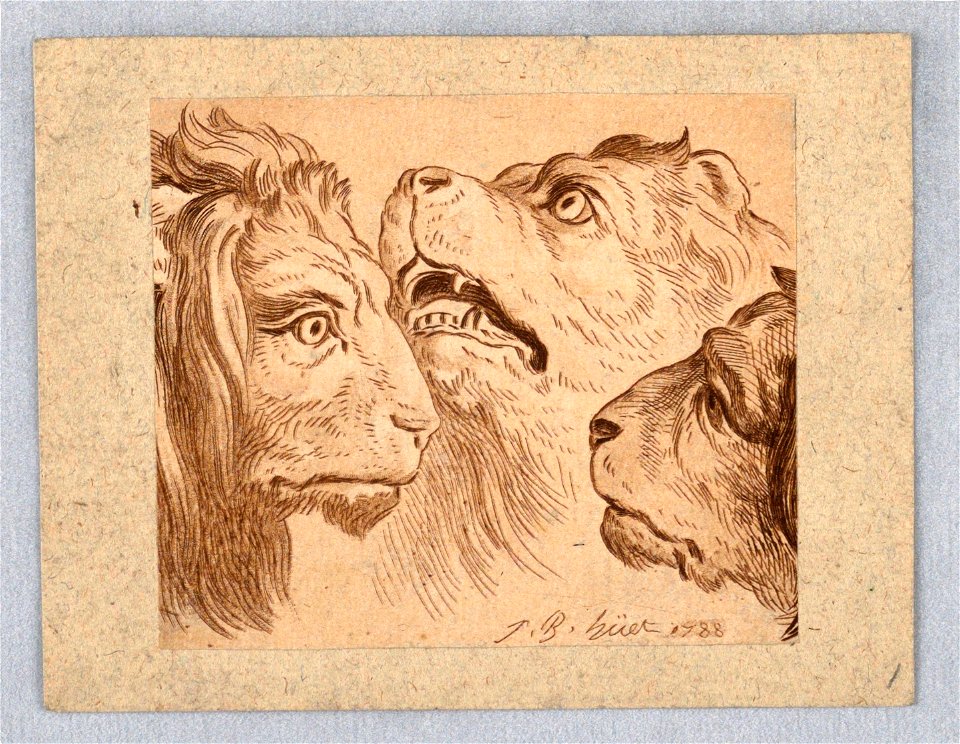 Print (CH 18216507)