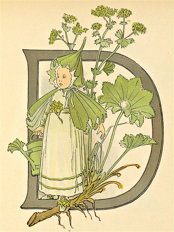 Prinsarnes blomsteralfabet D