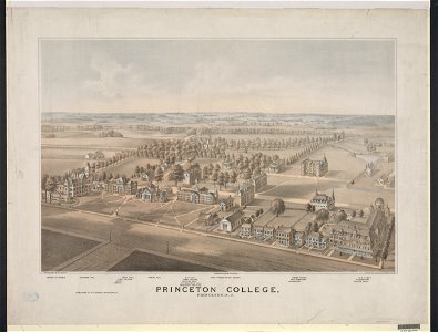 Princeton College, Princeton, N.J. - designed by W.M. Radcliff ; lith. by Thos. Hunter, 716 Filbert St., Philada. LCCN2006677673