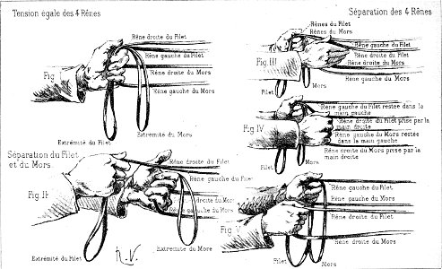 Principesdedressage 129