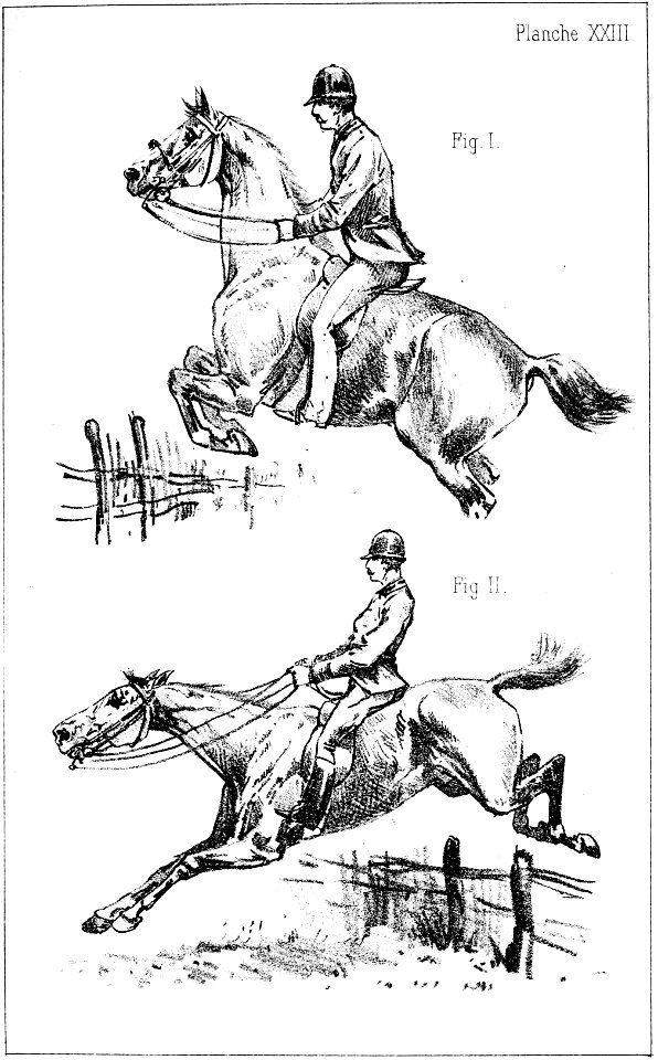 Principesdedressage 281
