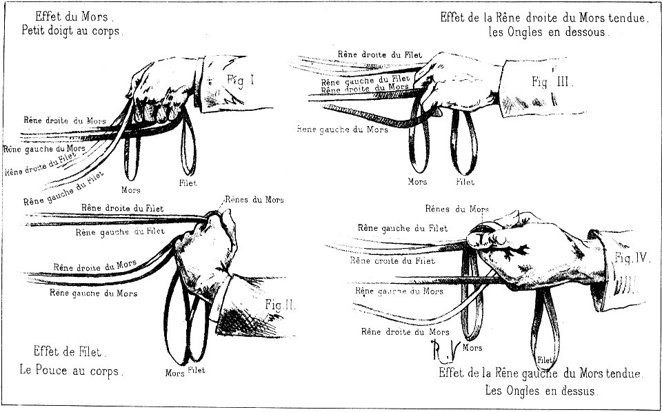 Principesdedressage 133
