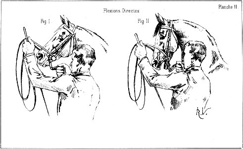 Principesdedressage 091