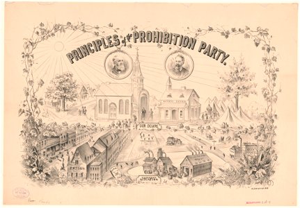 Principles of the Prohibition party LCCN2003677565