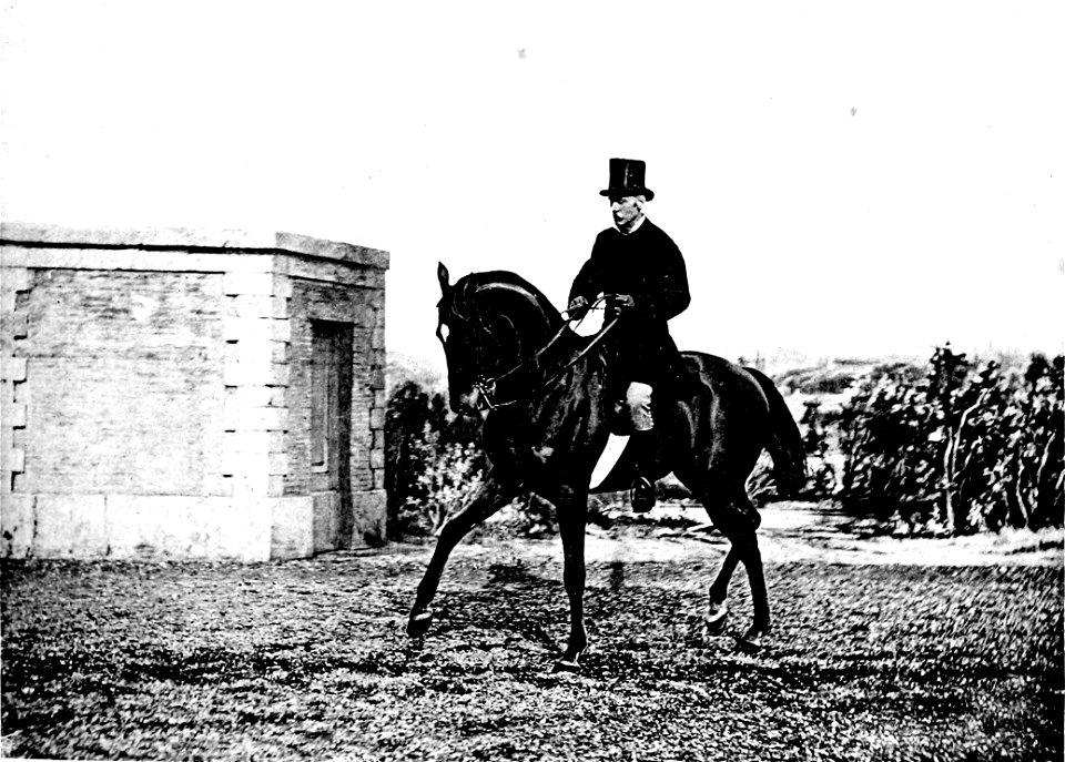 Principesdedressage 215b