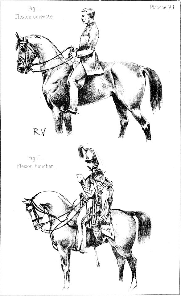 Principesdedressage 115