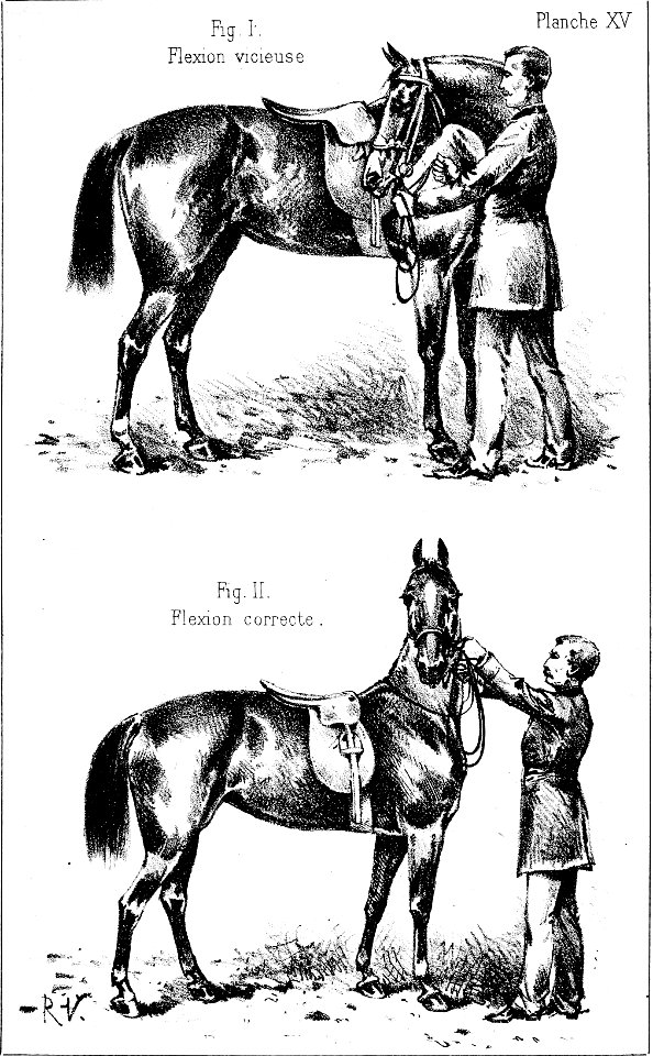 Principesdedressage 167