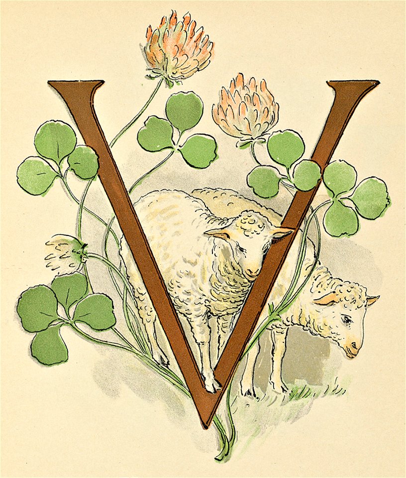 Prinsarnes blomsteralfabet V