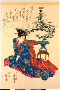Print (BM 2008,3037.21509)