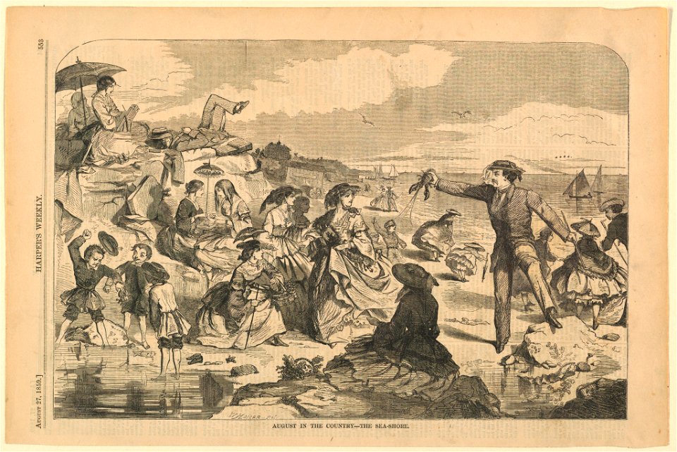Print, August in the country, sea shore, Harper's Weekly, November 1862 (CH 18606391)