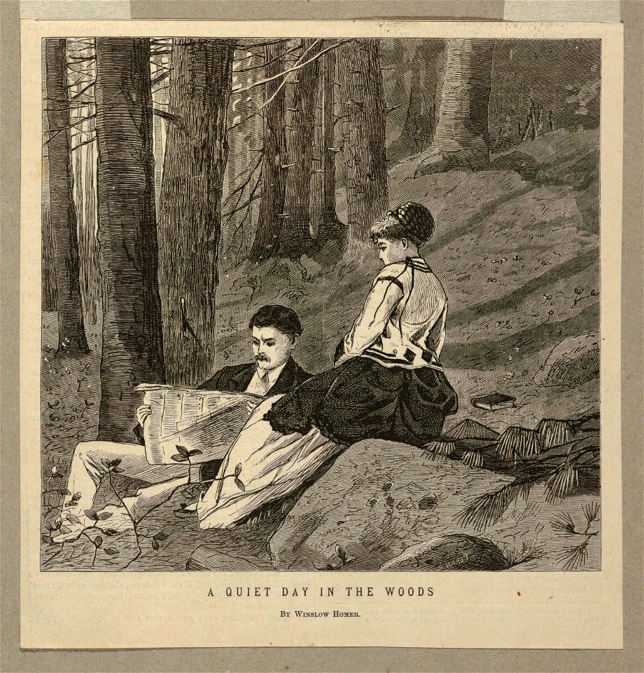 Print, A Quiet Day in the Woods, 1870 (CH 18346285)
