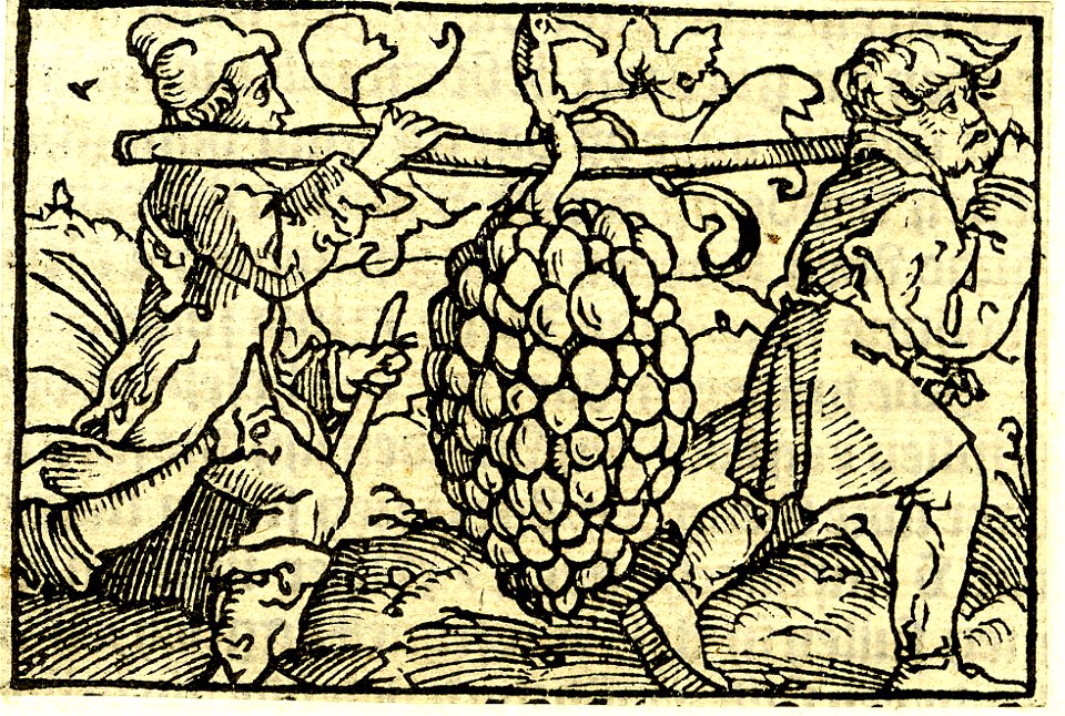 Print, book-illustration (BM 1923,1112.35)